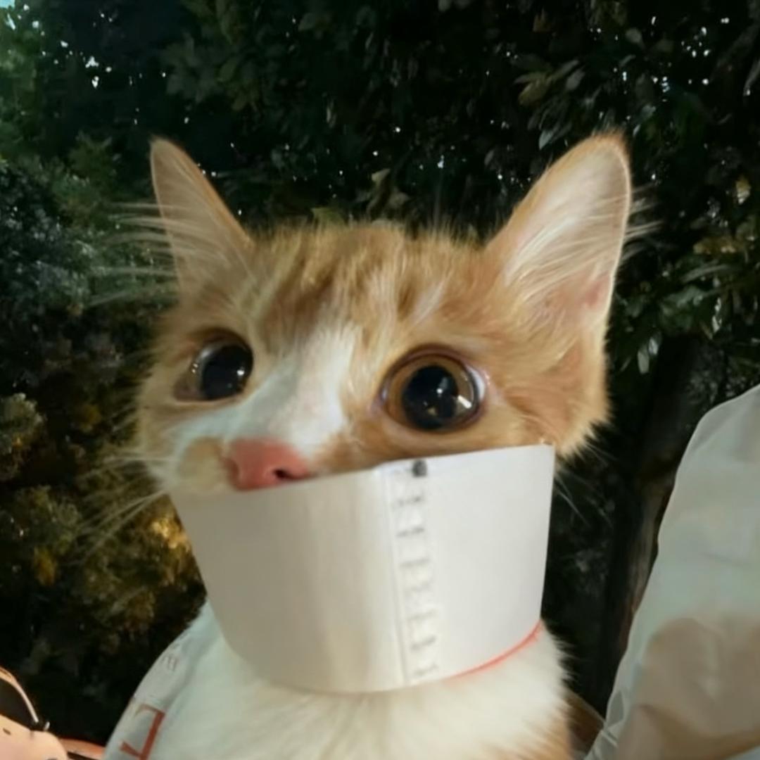 饱ST.