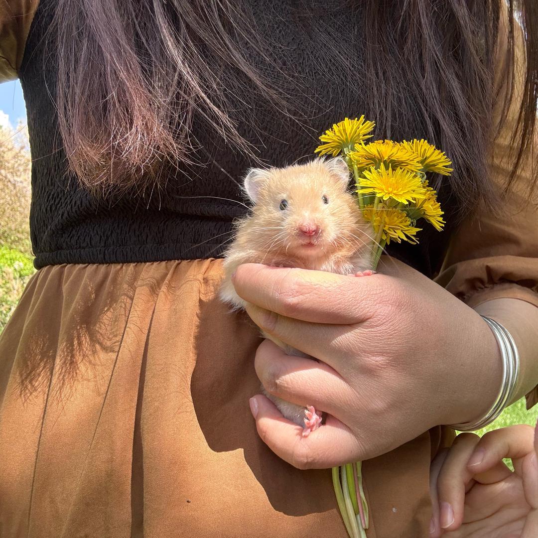 。。。