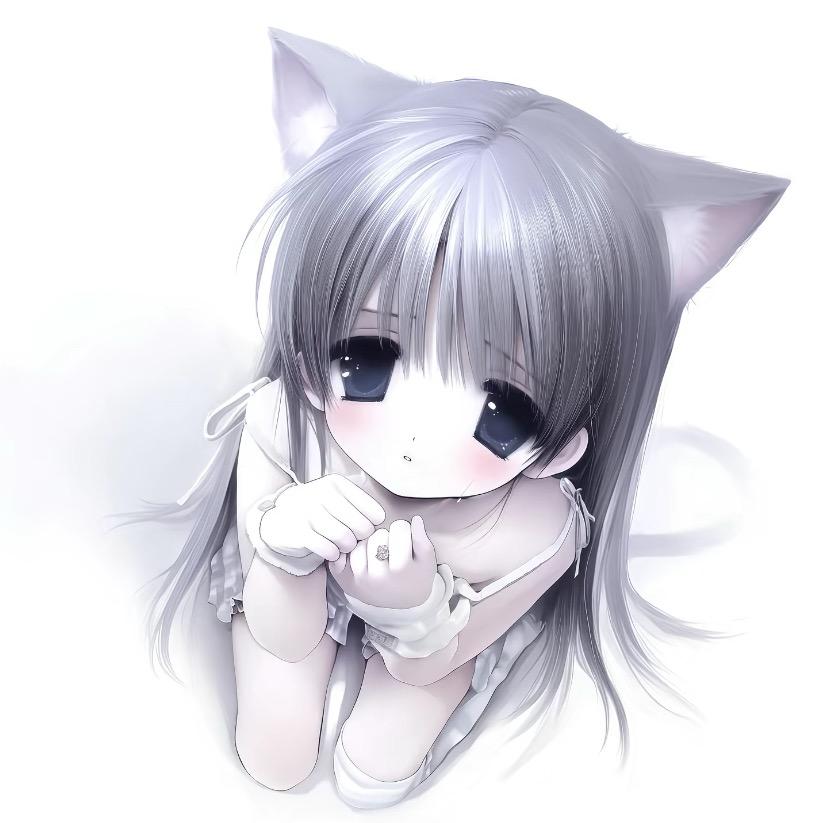 喵ovo