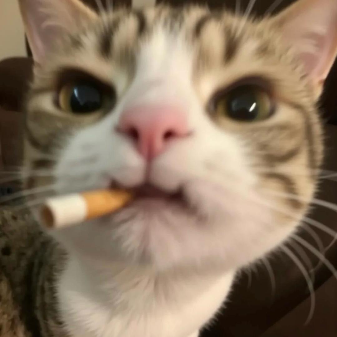 头布藤