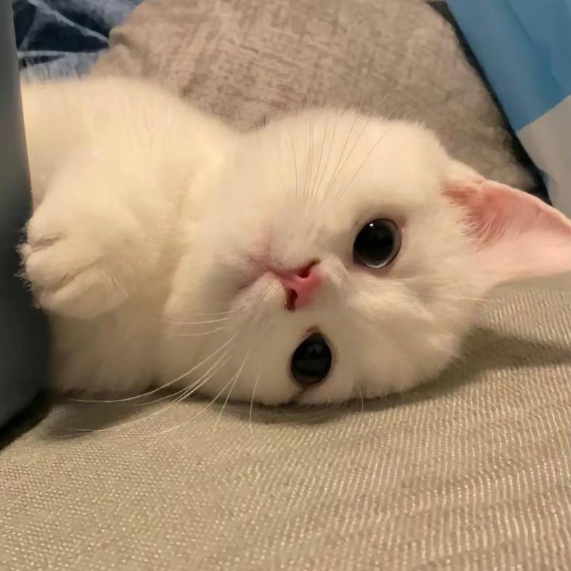 深蔼百货