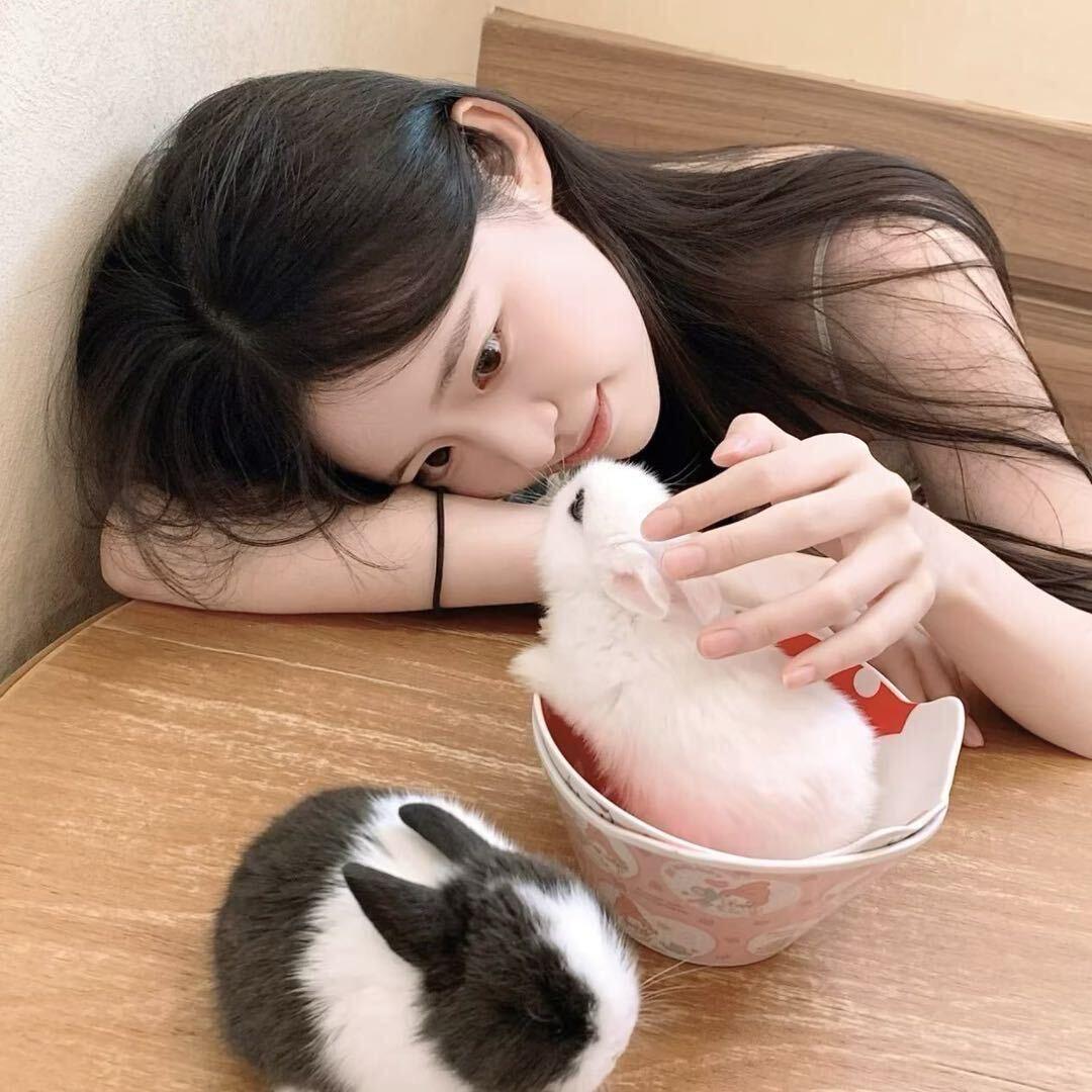 1-猫的树