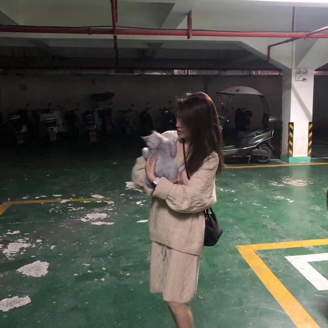 尧尧