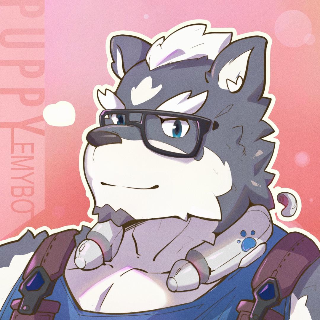 小狼宝 Ryan
