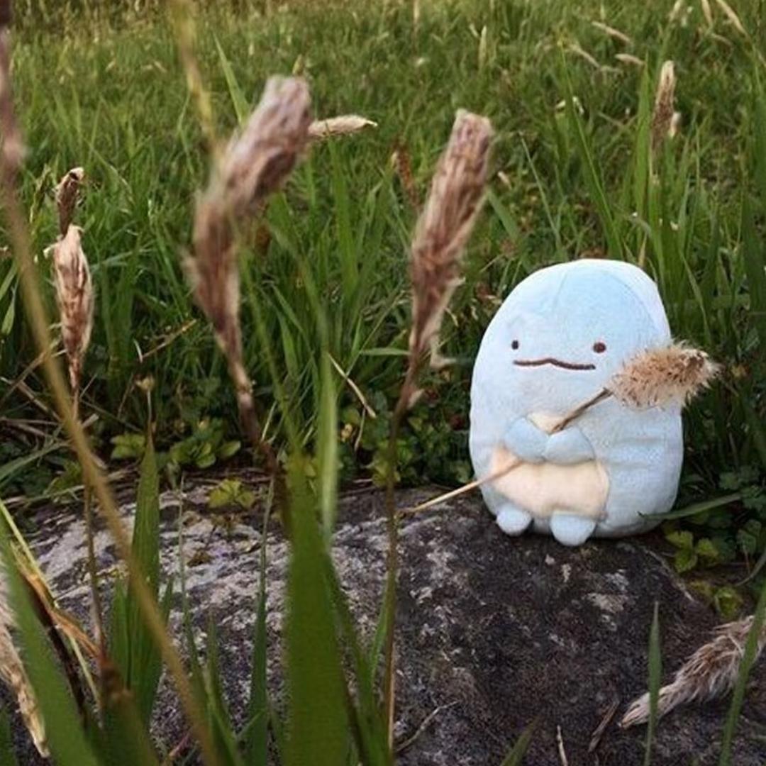 吃吃吃吃饱了