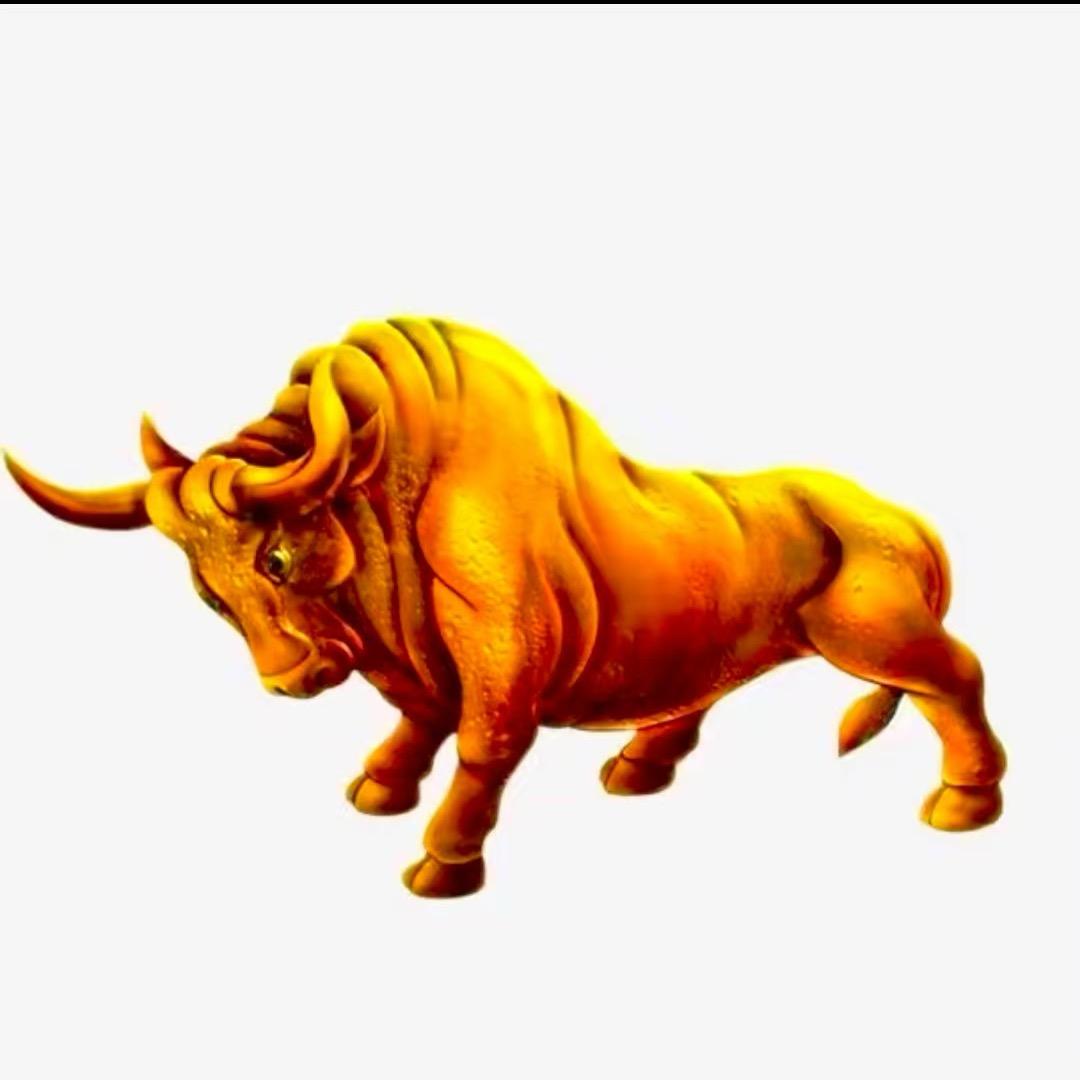 牛客多牛肉源头厂家