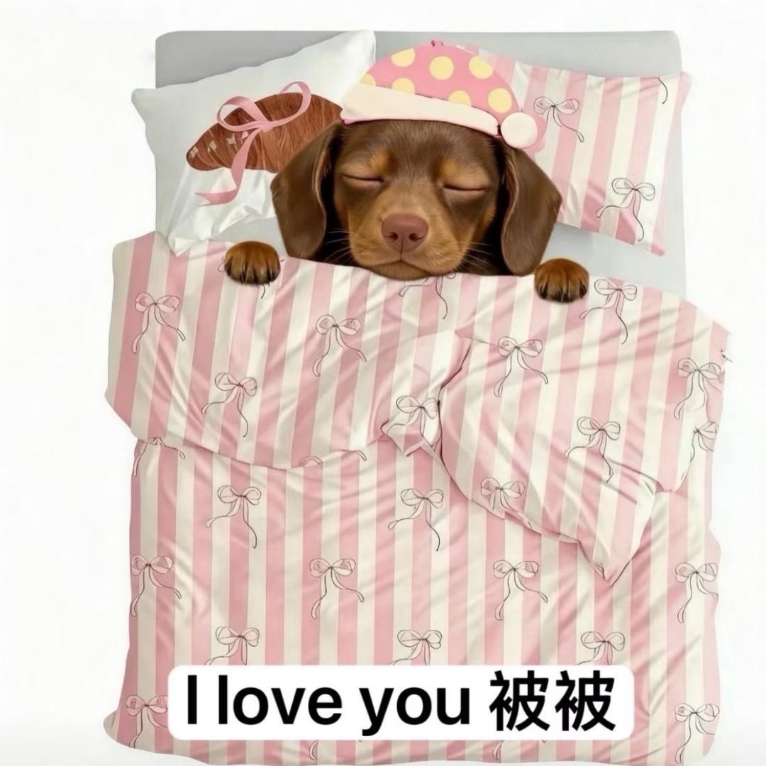 国防科技得不到的学生🧑‍🎓