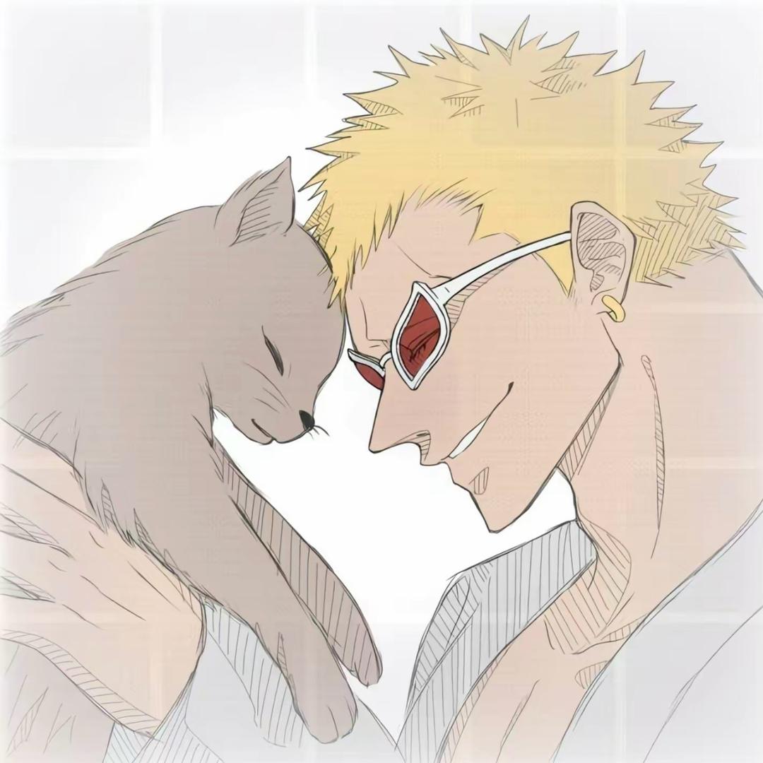 唐吉诃德·多弗朗明哥