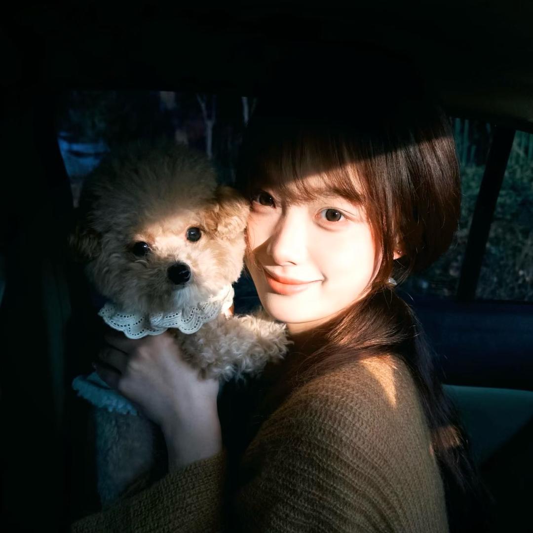 忧郁的汉堡包🍔