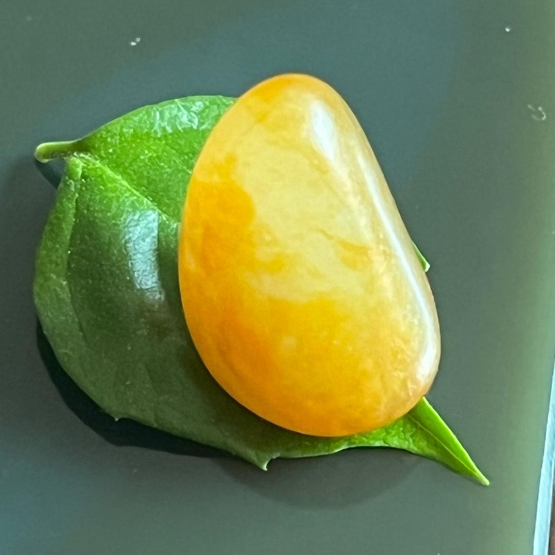 过往（云舒）