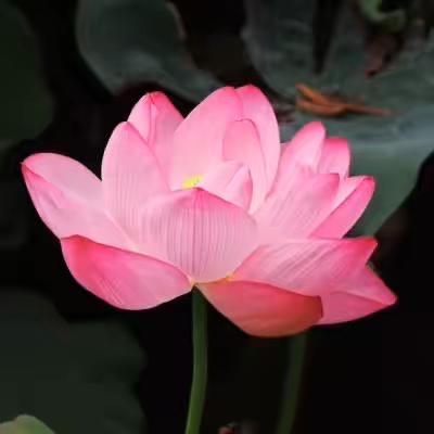 简💕爱