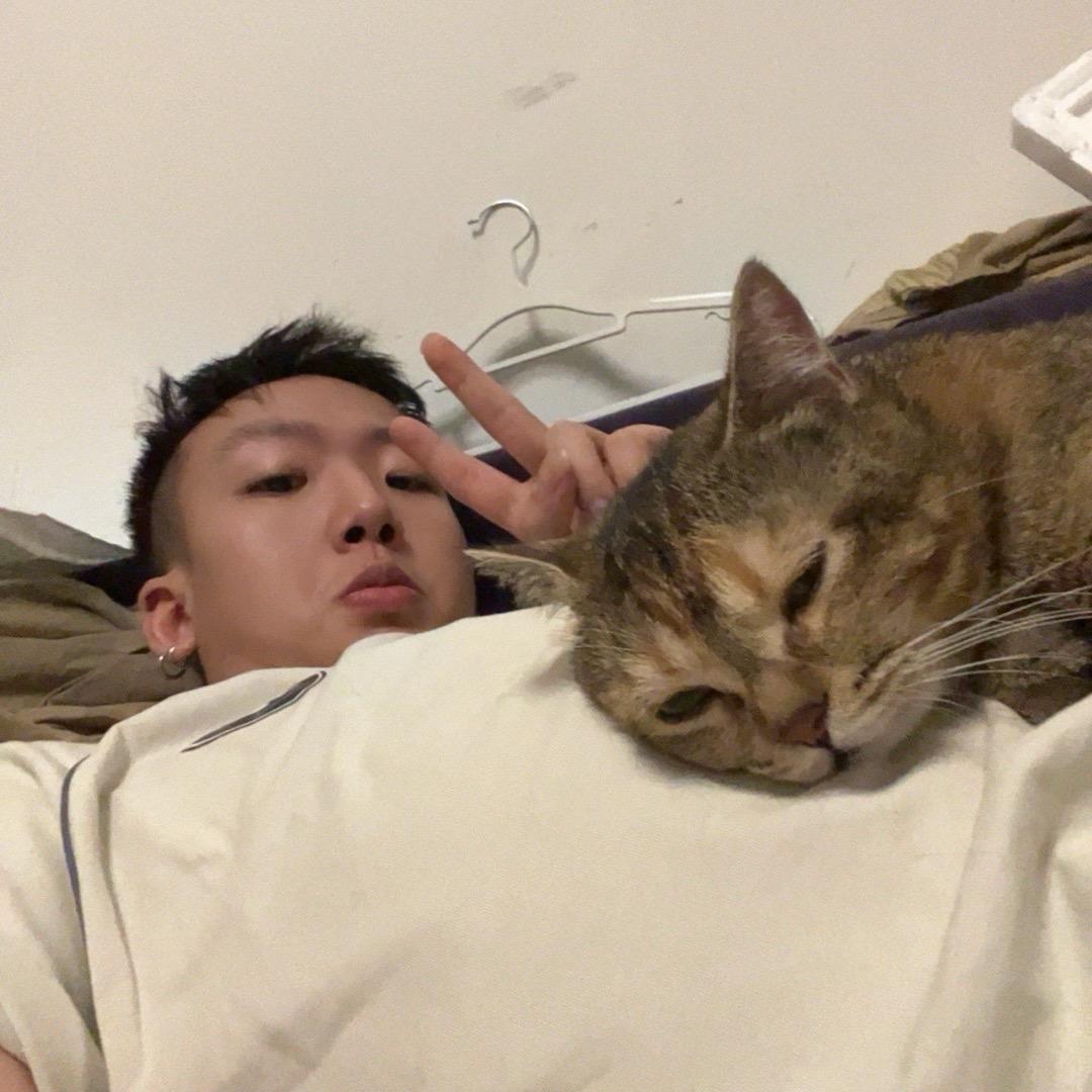 螨爹的养猫日记