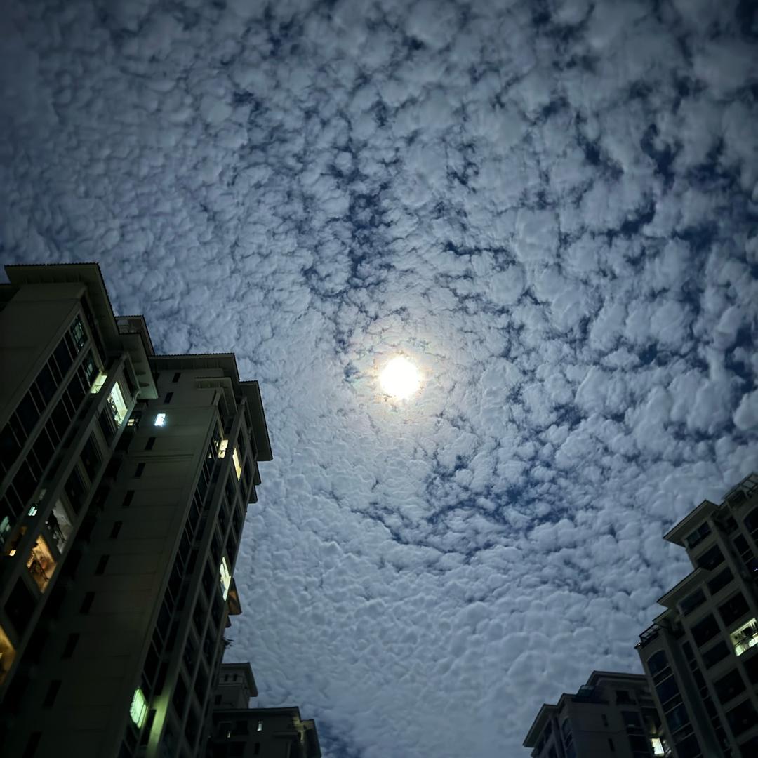 噜噜噜