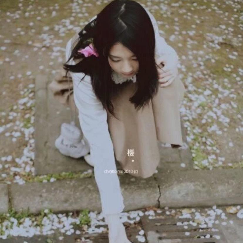 柒妹