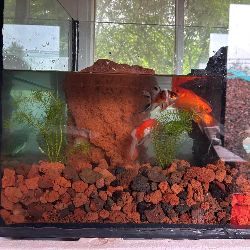 多多石材优选店