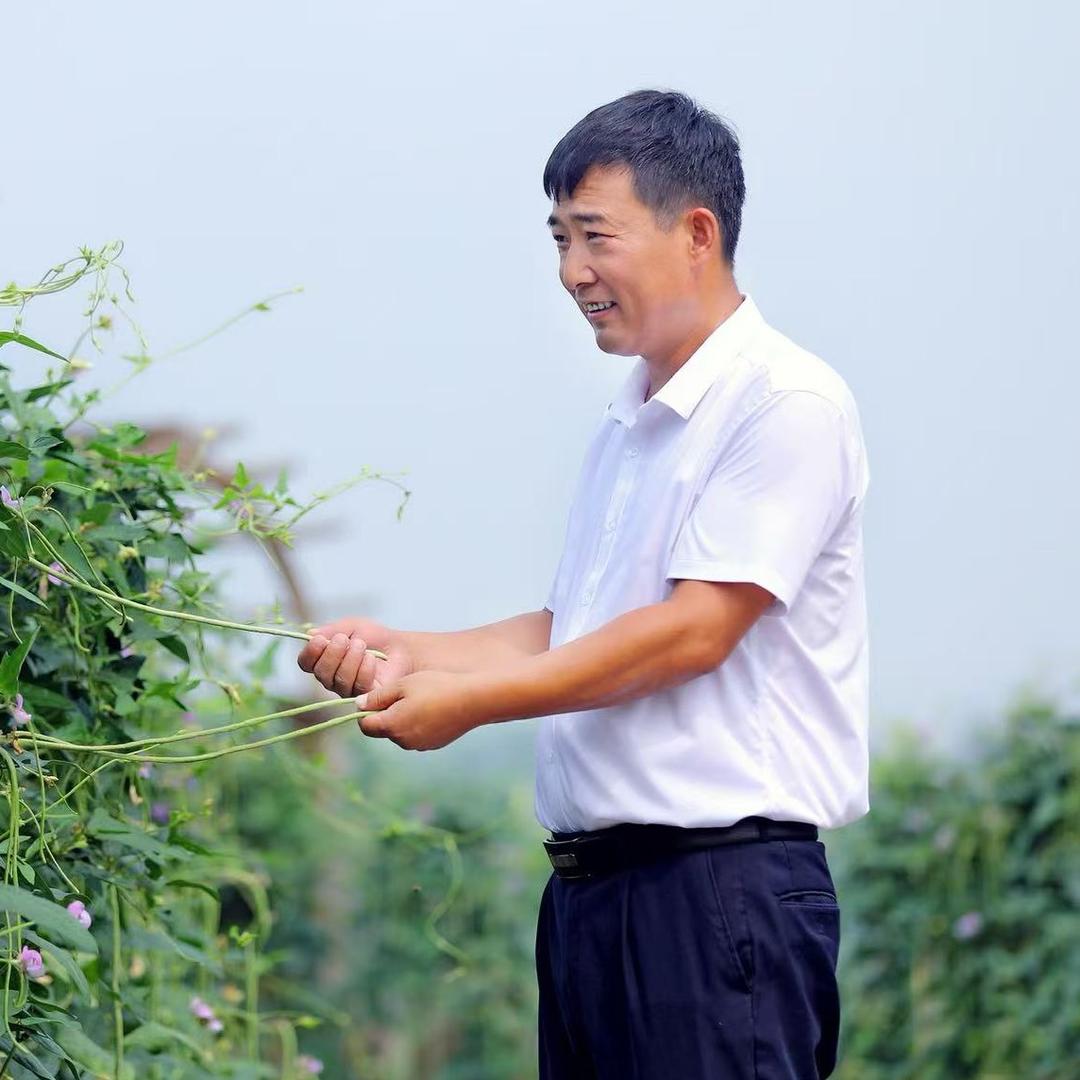 职业农民杨森林