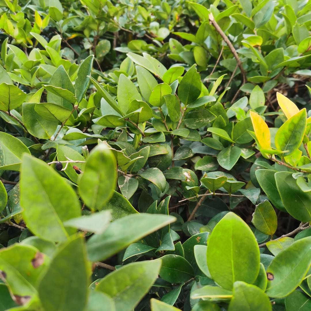 天晖卓创图书旗舰店