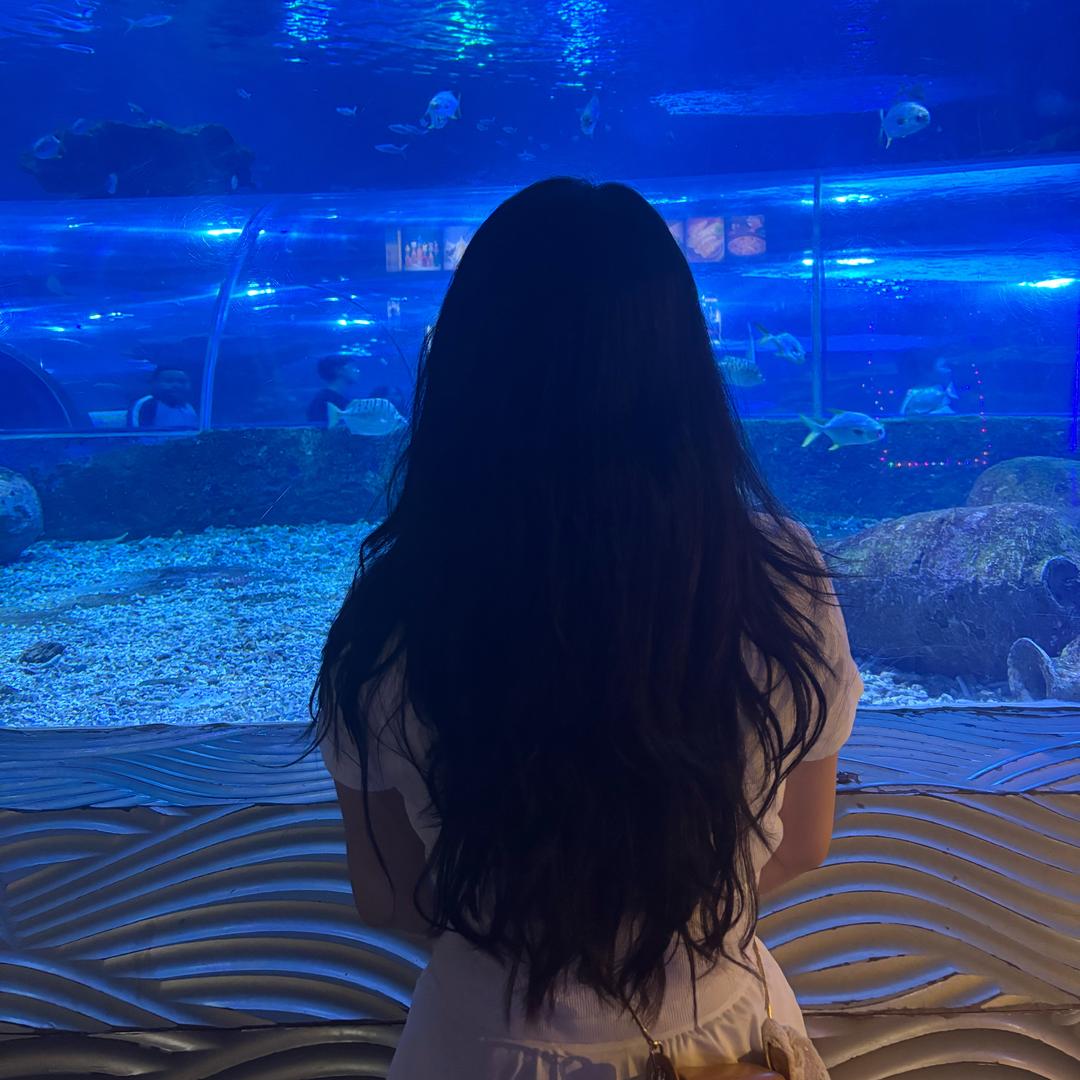 赵奇迹