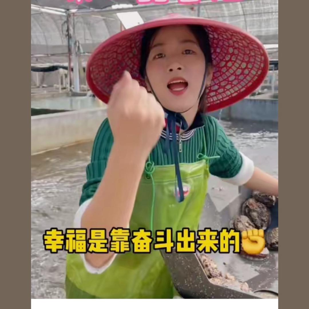 鲍鱼老板娘（供应链）