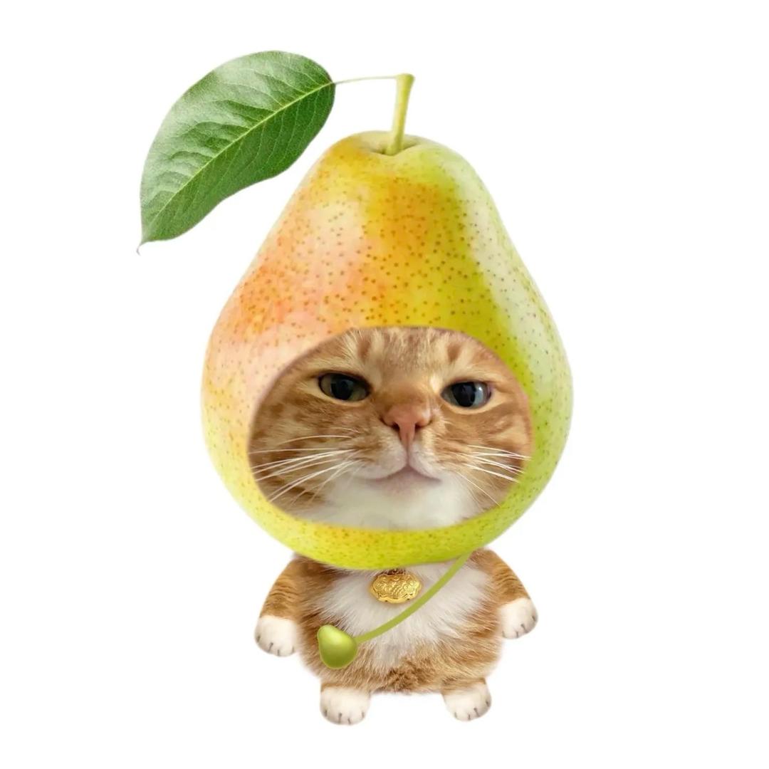 樱桃小完犊子..