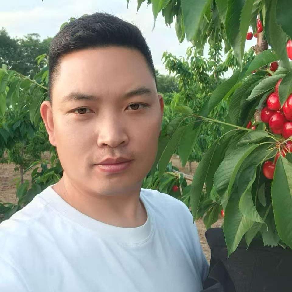 果蔬小杨
