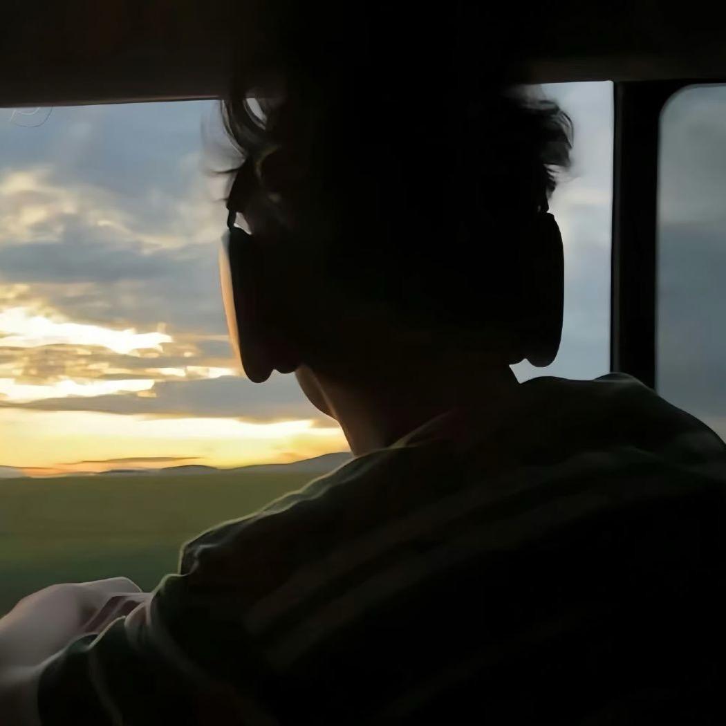 一只特立独行的🐴.