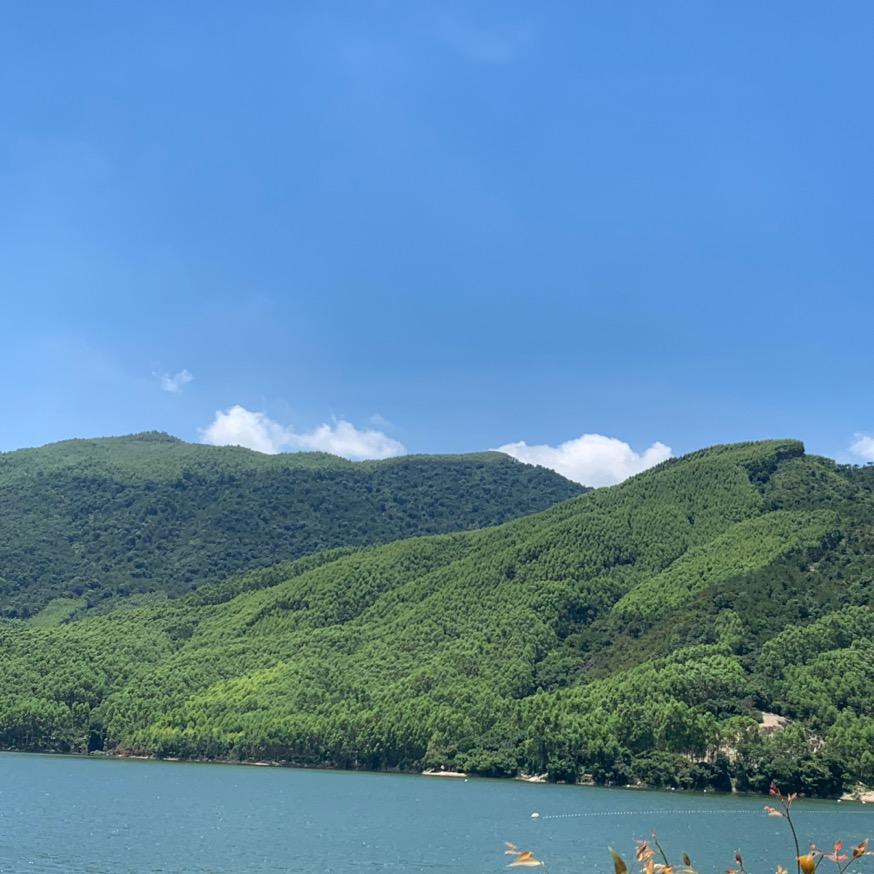 南安市汉联包袋厂．橄榄树下饭庄