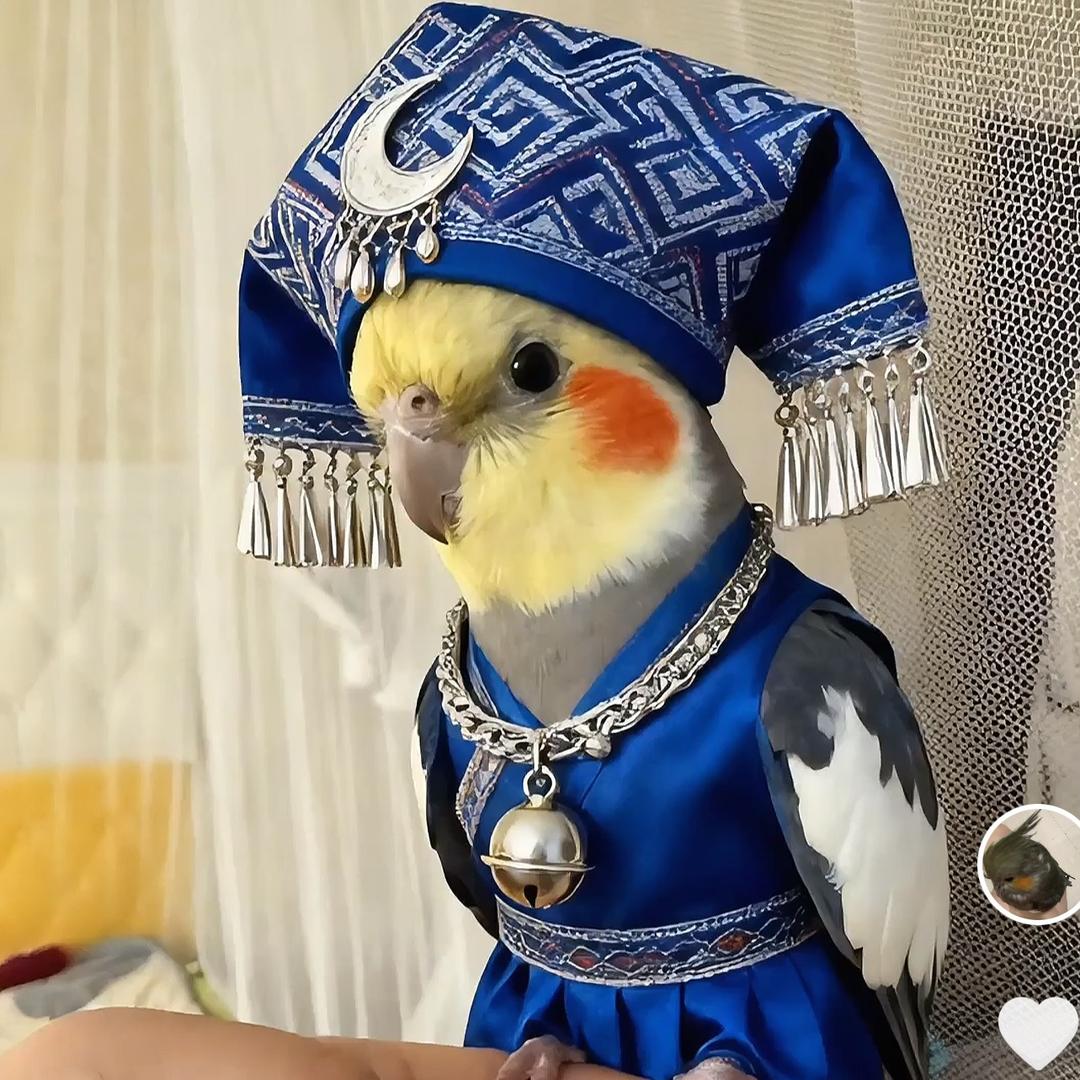 小红啊
