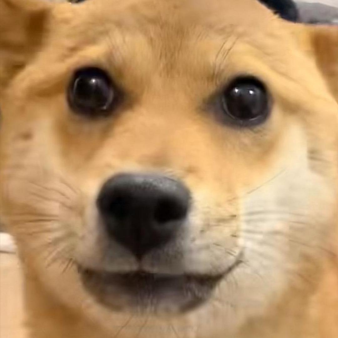 麦辣猪腿堡堡