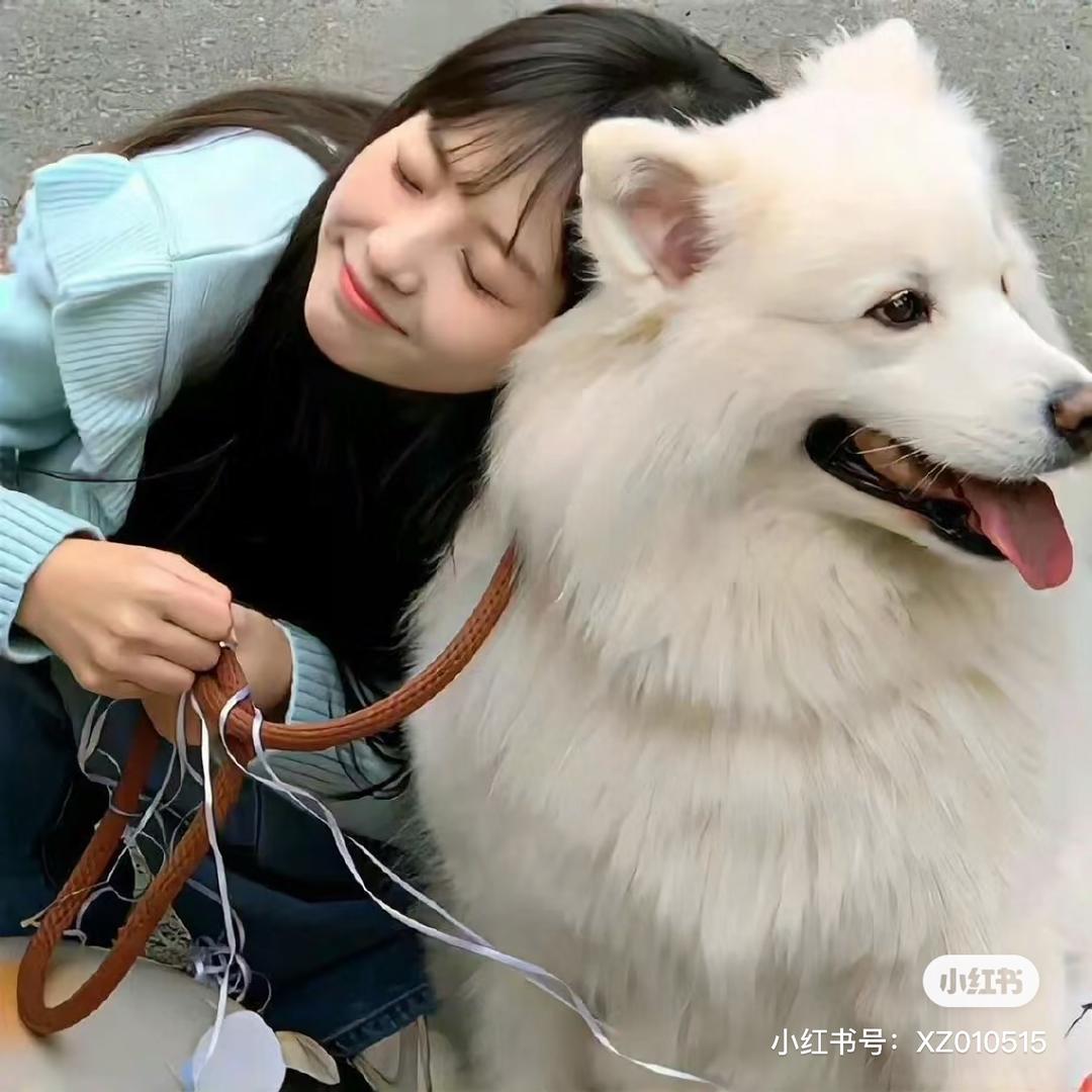 尧尧椰
