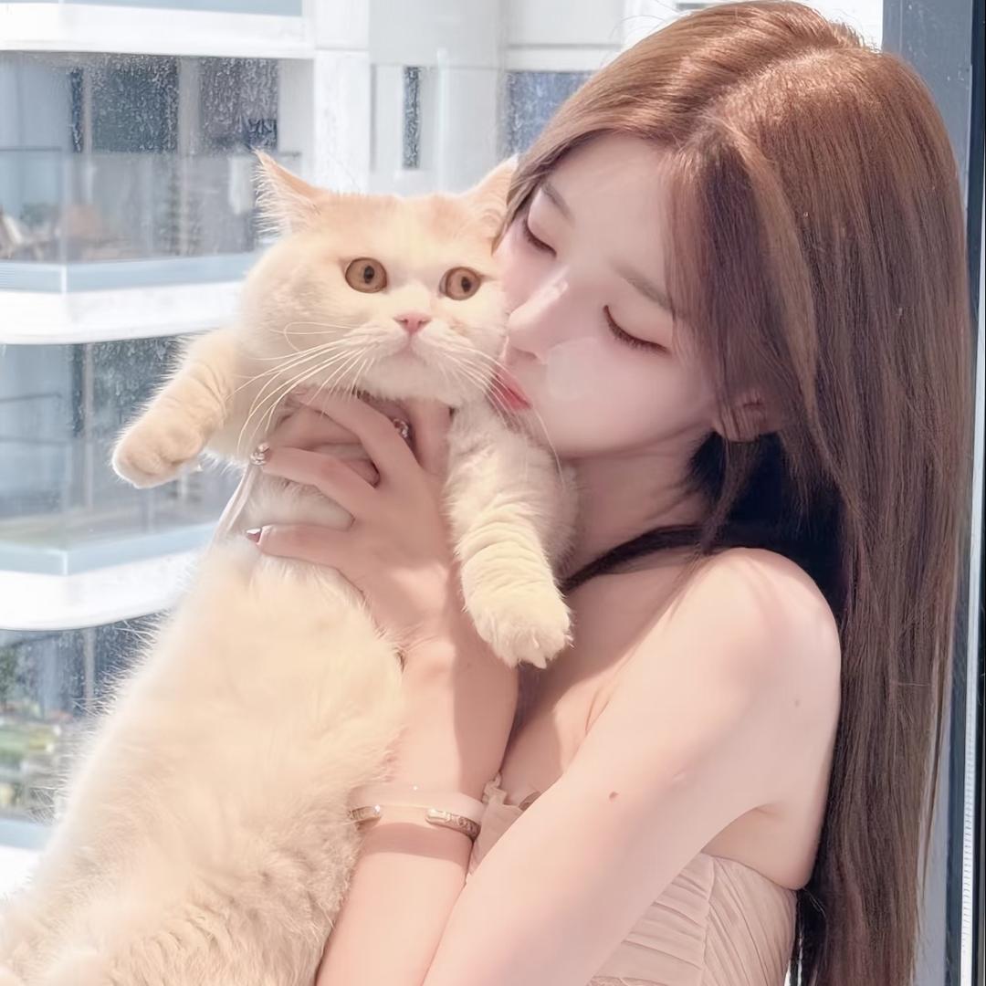 猫🐾