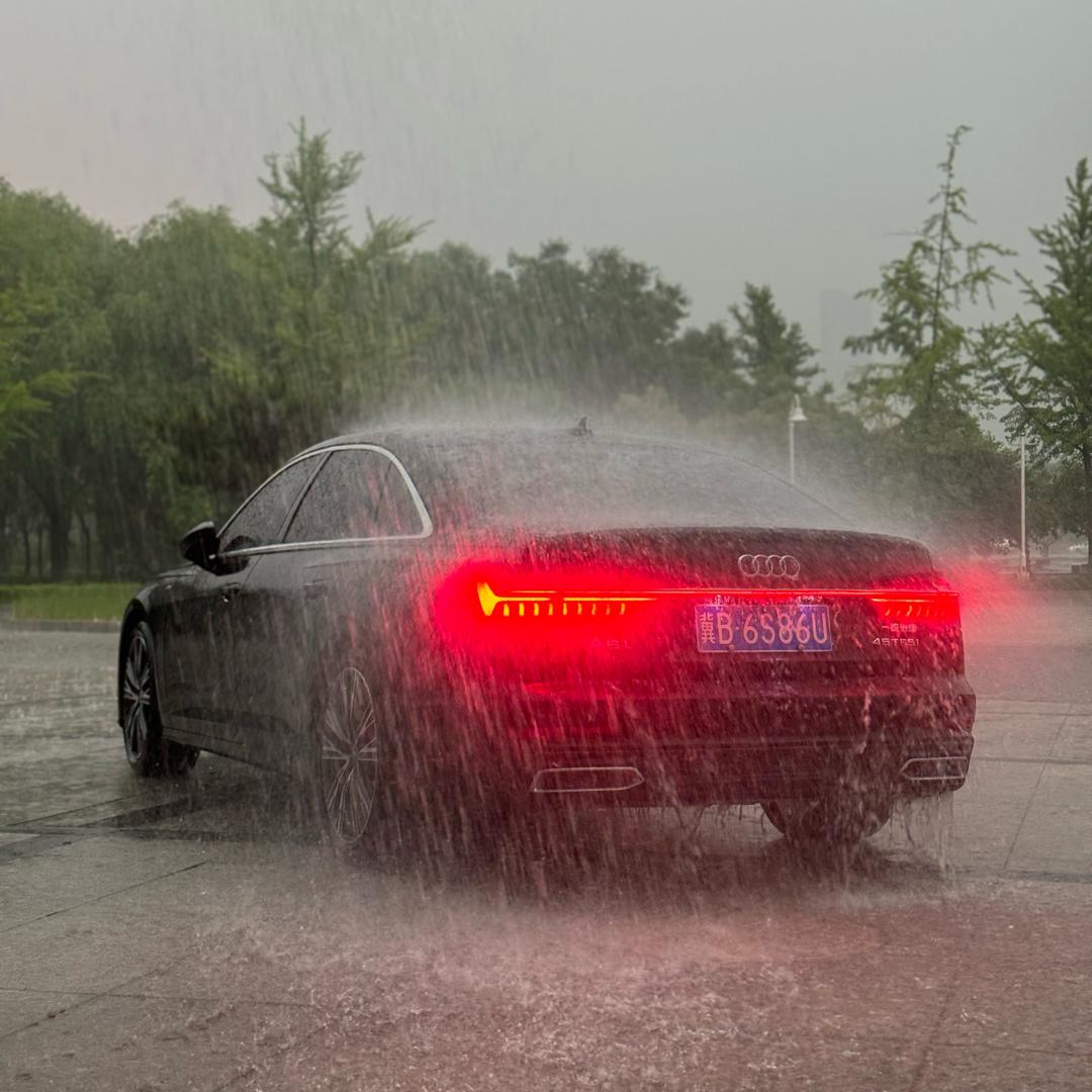 开奥迪的小趴菜