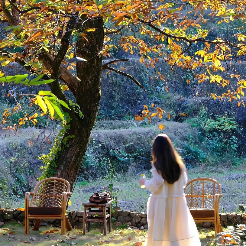 0基础剪辑轻松学