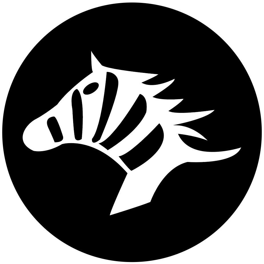 大理斑马出行网约车