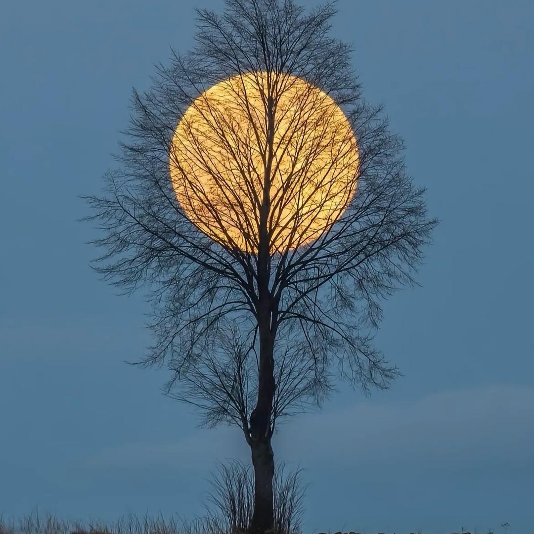 💋＋＋Alone＋＋