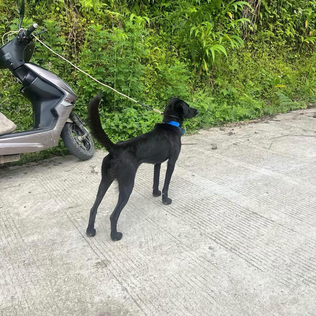 深山老猎人