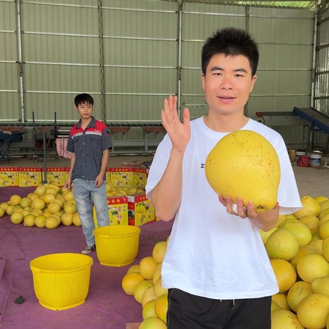 三哥红心蜜柚