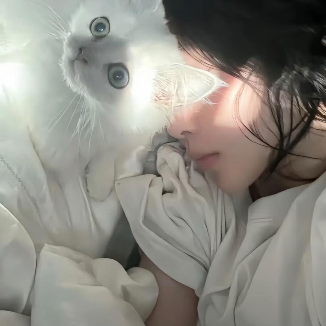 Hello小静.