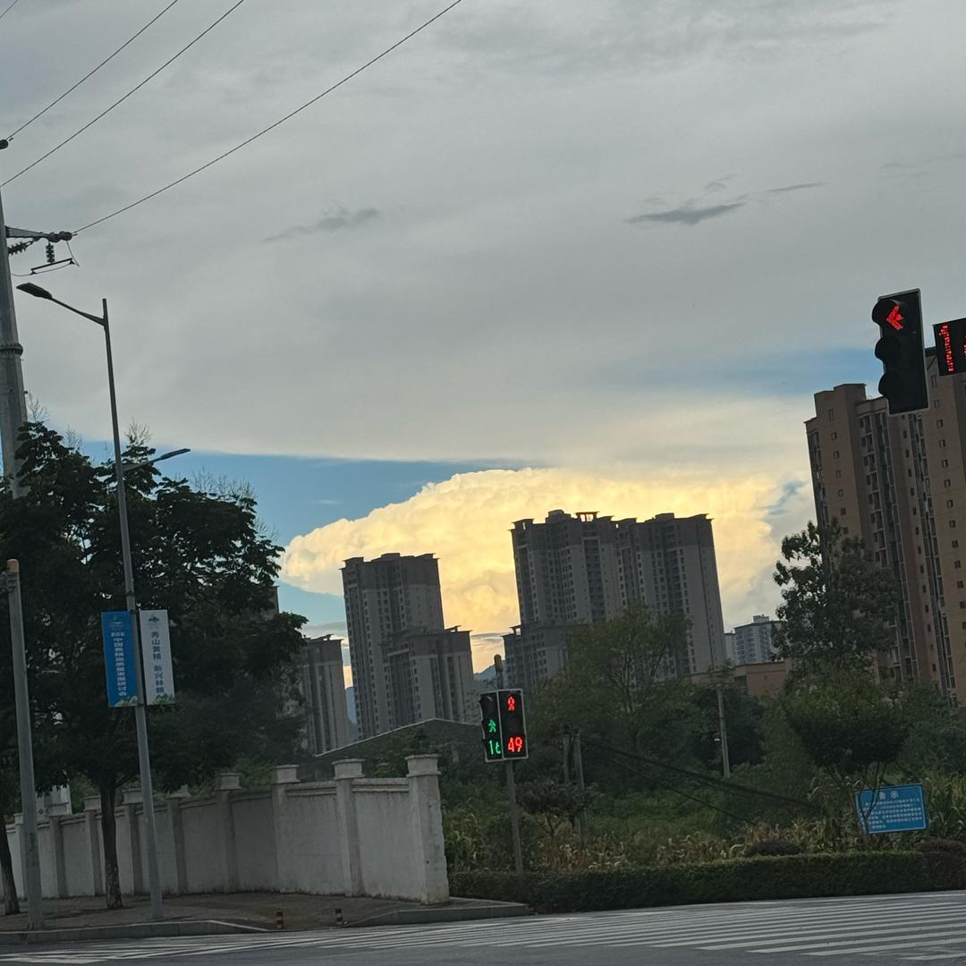 天津市武清区欣炎雅电子商务工作室（个体工商户）