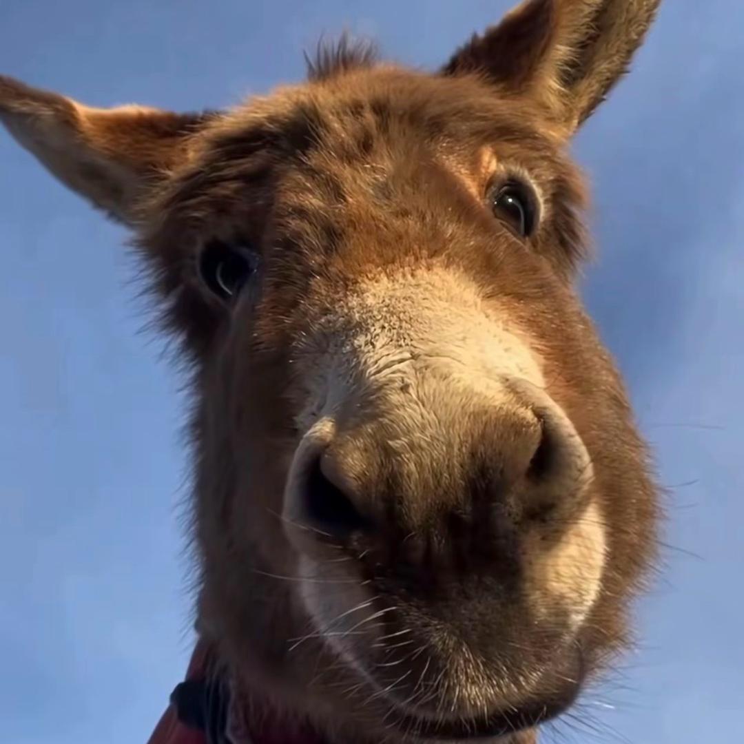 💗财神爷的宝宝