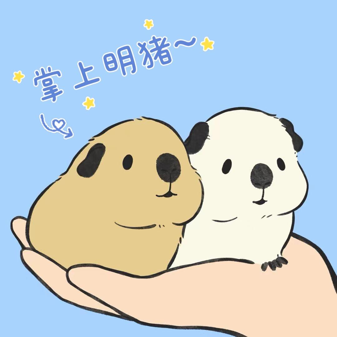 掌上明猪🐽出小猪
