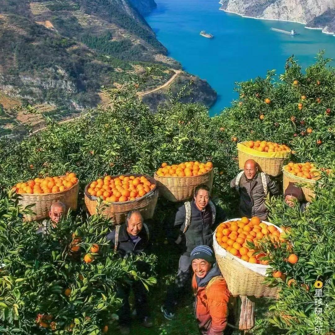 小杜下乡找土货。