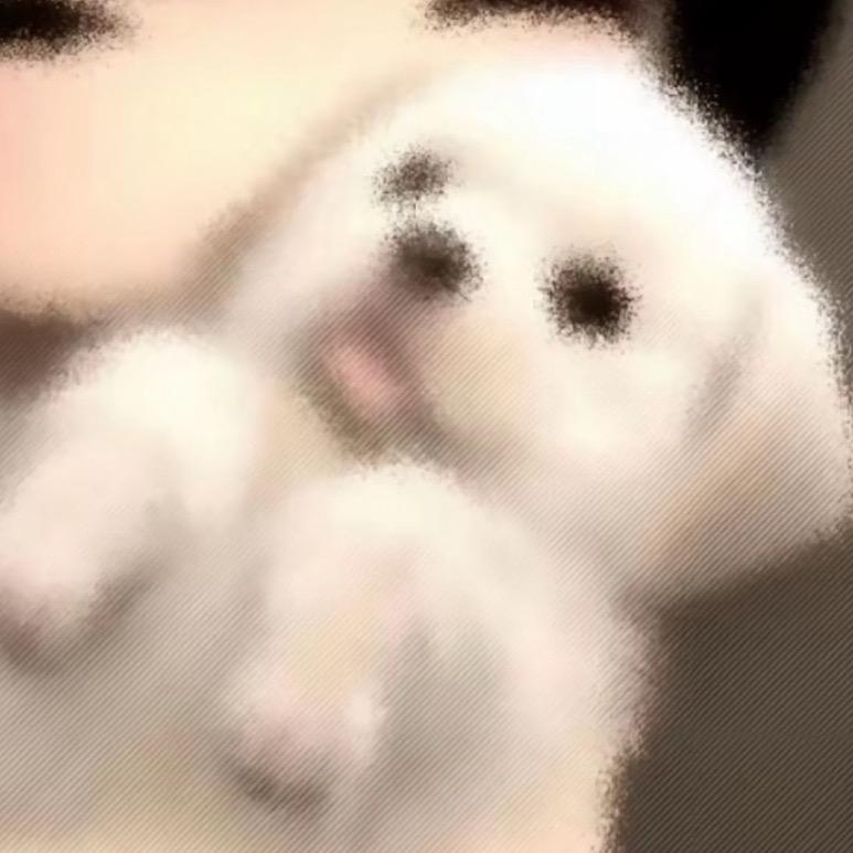 任燃