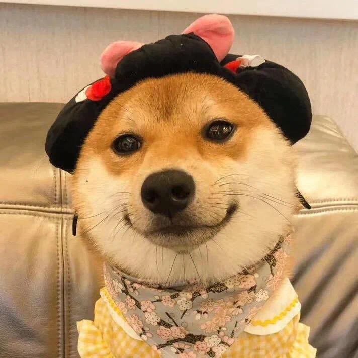 东北仙子