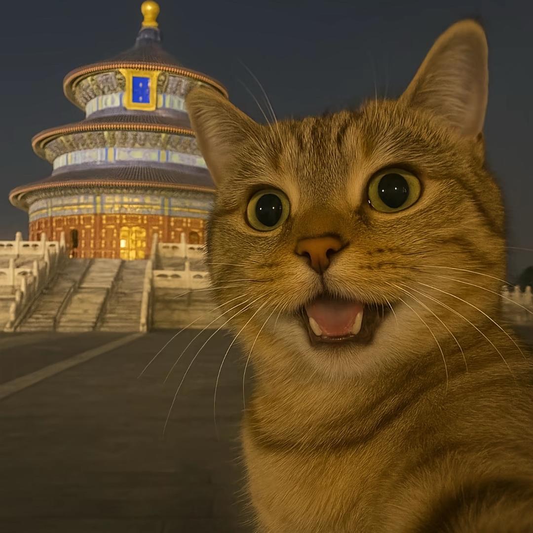 达咩呦达咩达咩