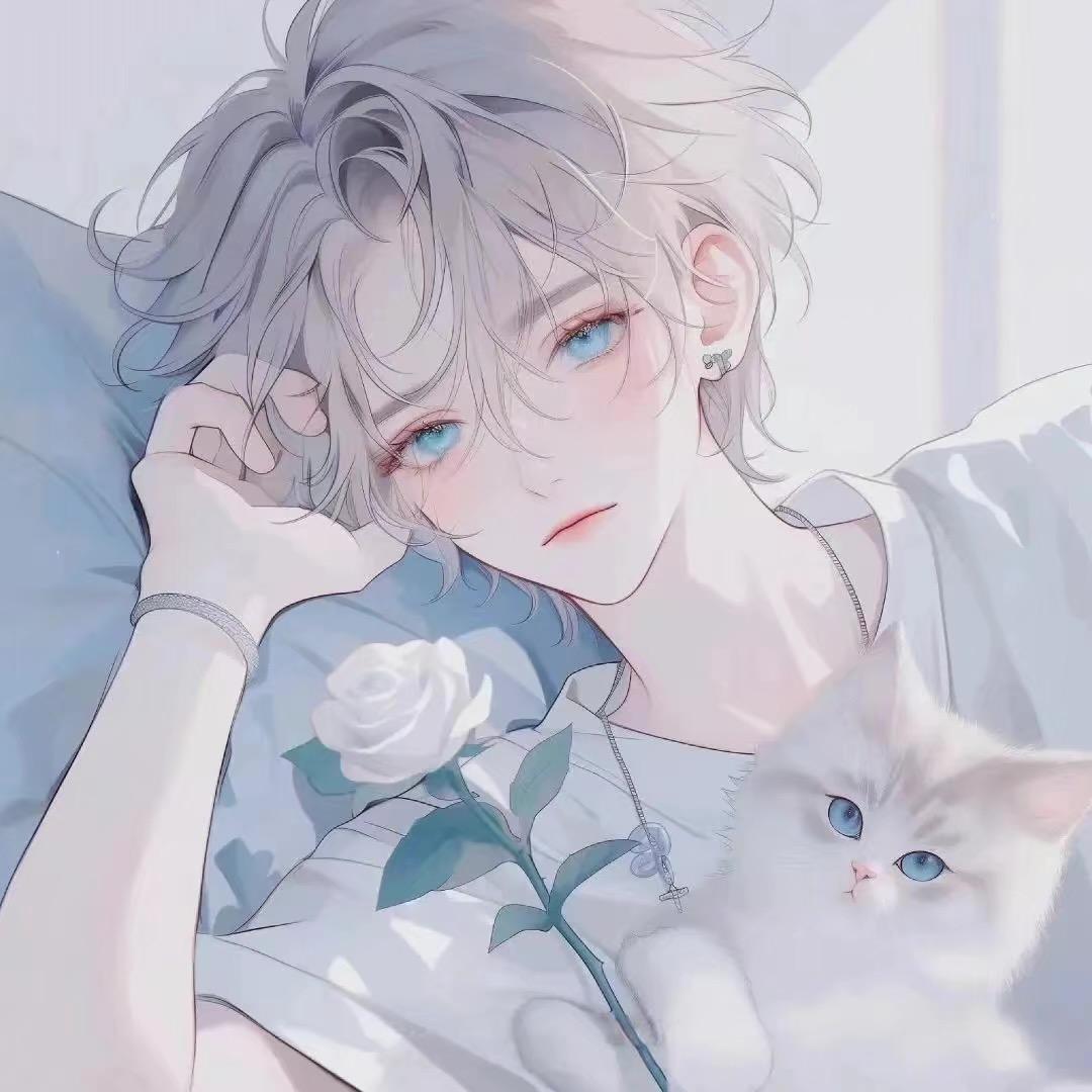 小白超爱玩