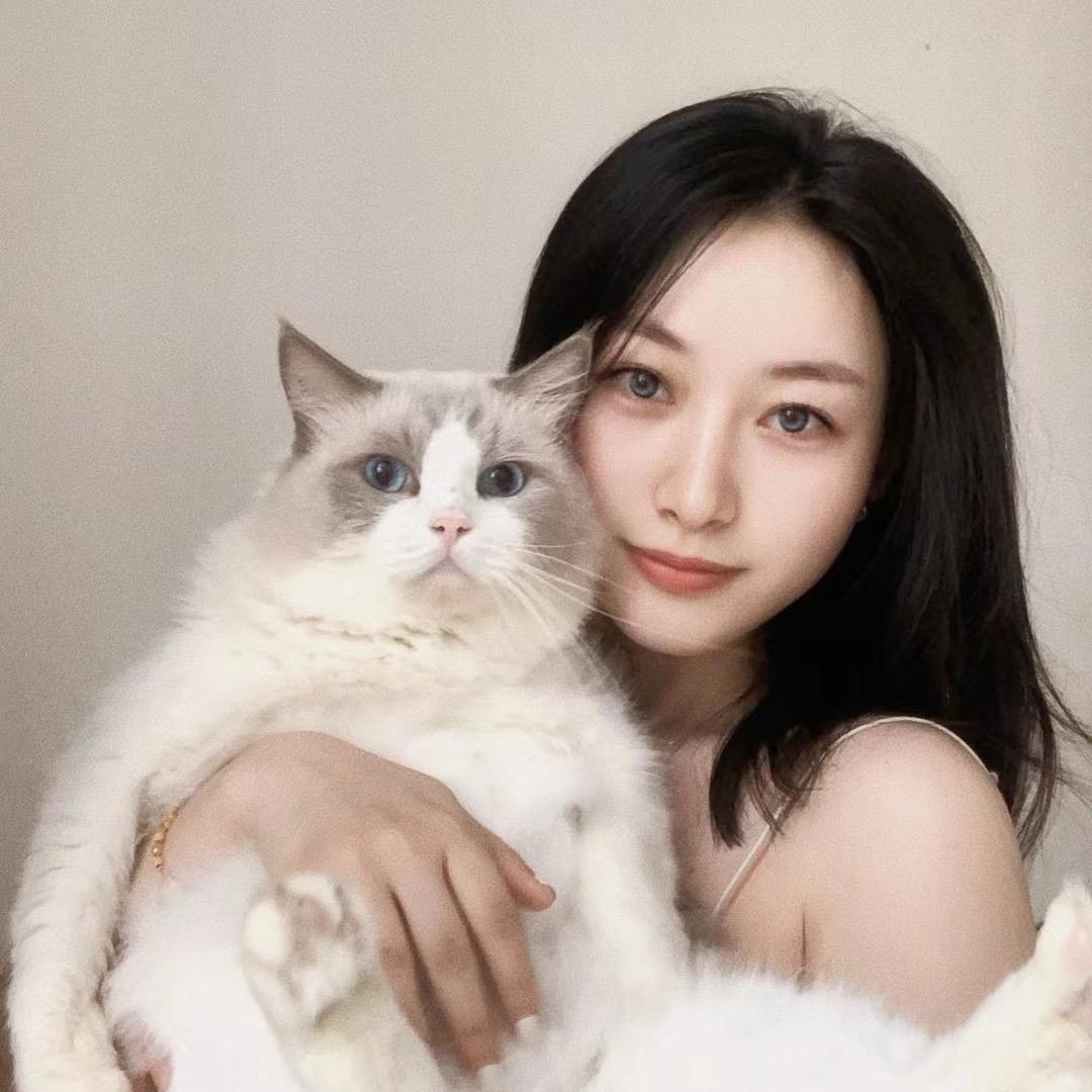洛依