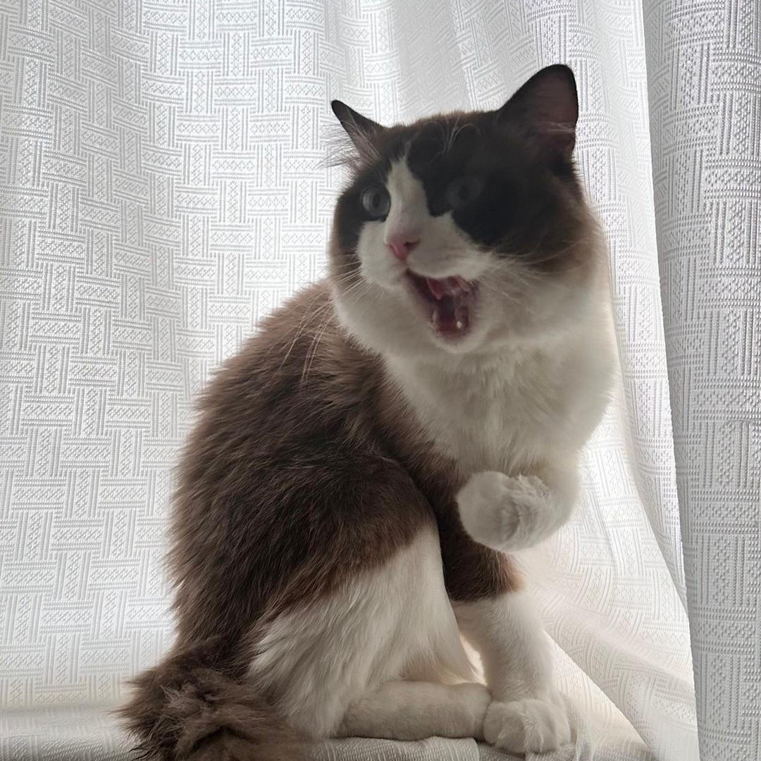 骗吃骗喝的泡面