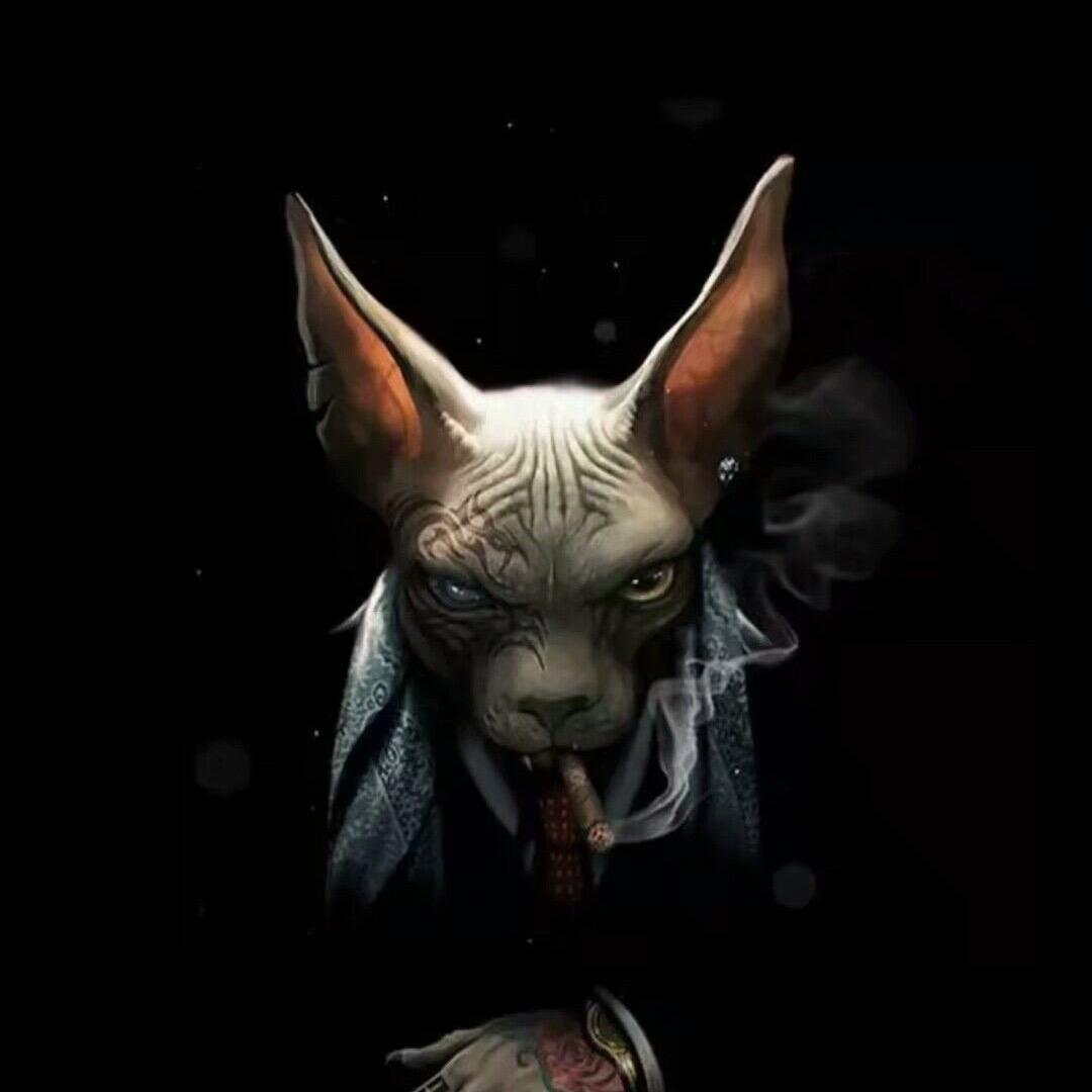 💫戒烟戒酒戒青楼