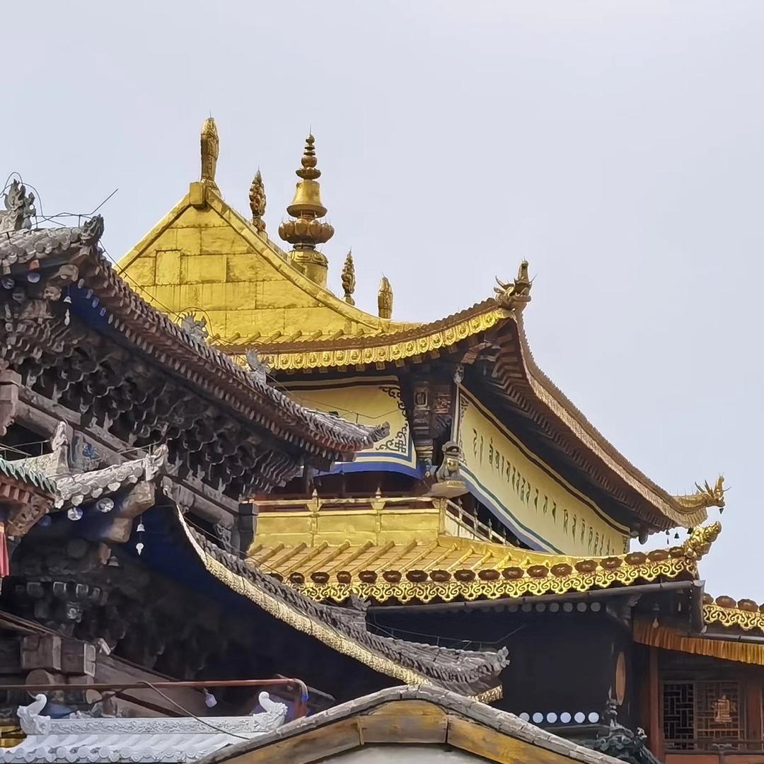 L完旅A美行L